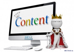 thiet-ke-website-dang-cap-bictweb-04