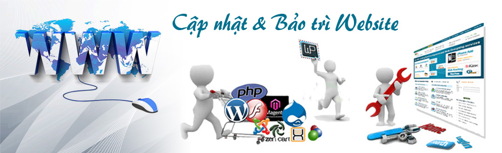 Cập nhật nội dung và bảo trì website