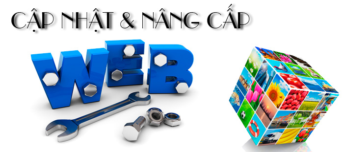 cập nhật và nâng cấp website