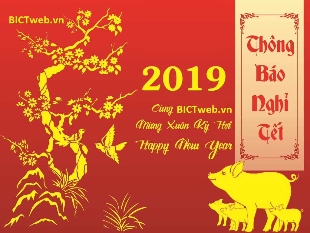 Công ty thiết kế website, phần mềm uy tín chuyên nghiệp tại Hà Nội