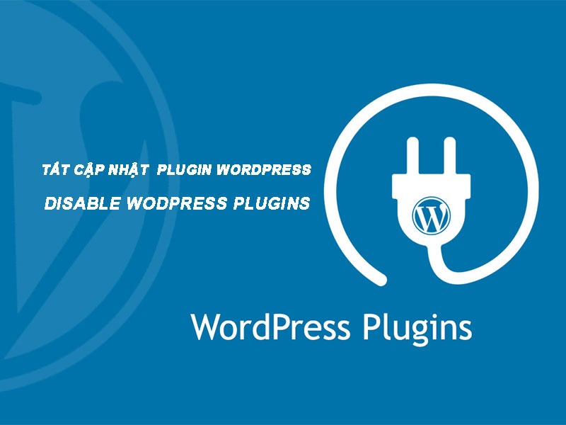 Website không cập nhật plugin: Hiểm họa bảo mật khó lường